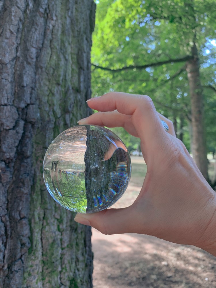 boule de cristal refletant a l'envers l'arbre en arriere plan - kinesiologue rouen - kinesiologie - coach developpement personnel - coaching rouen - accompagnement - energetique - energeticien - psychopraticien - sotteville les rouen - bien etre - emotion - soin energetique - brain gym - reflexes archaiques - memoires cellulaires - psychogenealogie - naturopathie - medecine chinoise - fleurs de bach - huiles essentielles - 