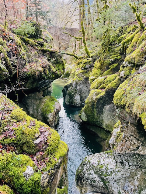 cours d'eau en pleine montagne, mousse sur les rochers, indique le chemin a suivre lors du coaching a Rouen avec Virginie MUSTEL